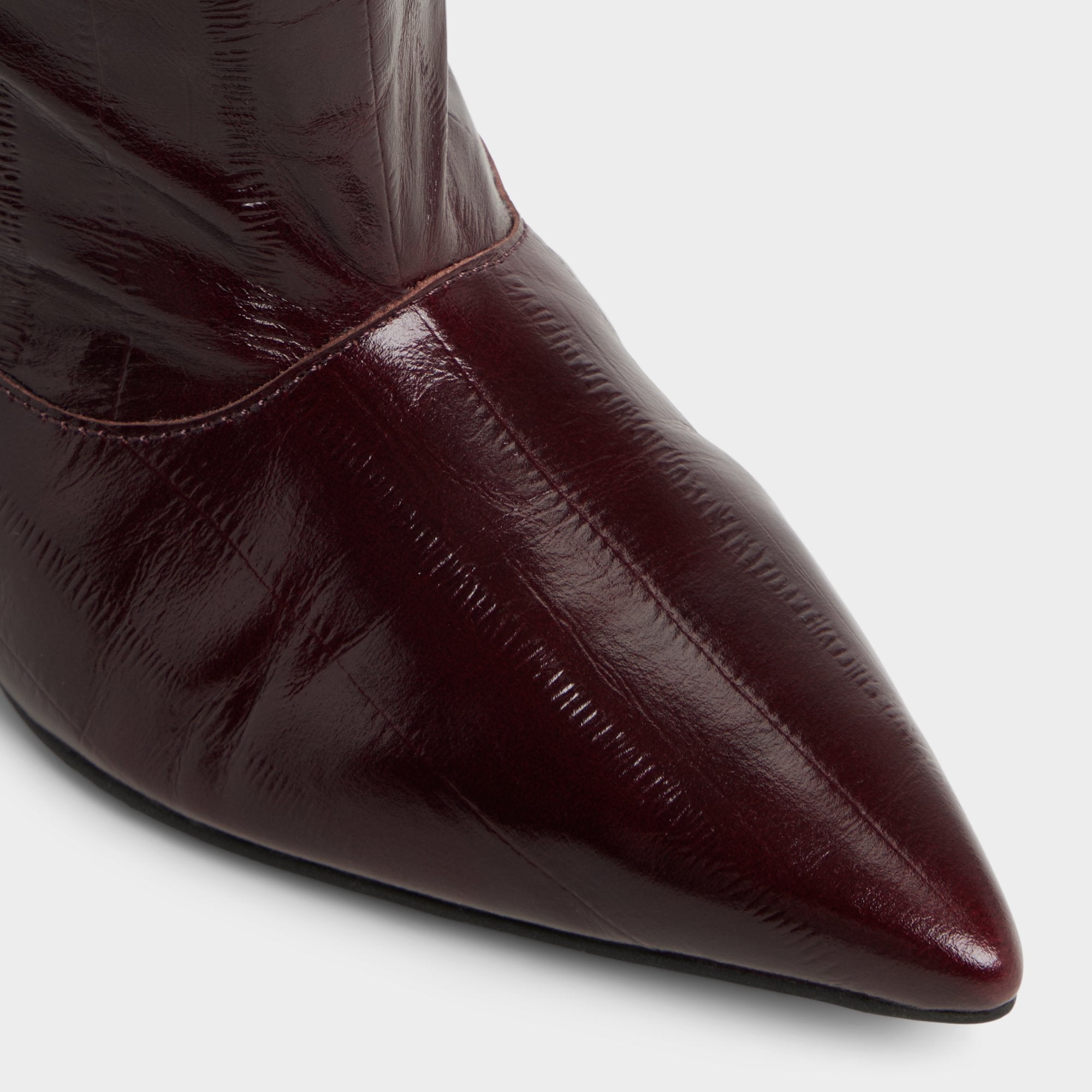 Kitten heel Everose in Bordo - Knee-high boot