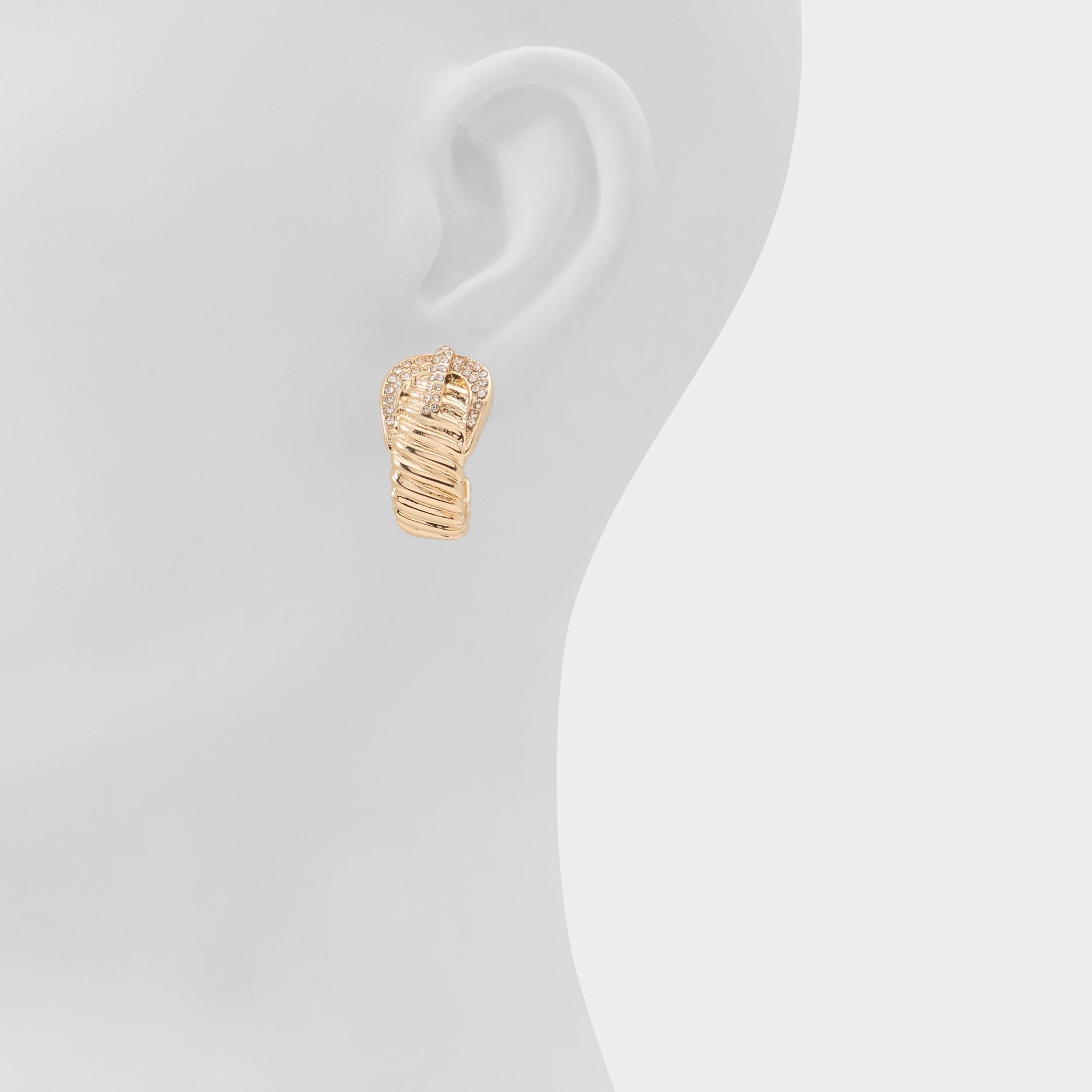 Cintura in Gold Clear Multi - Hoop earrings