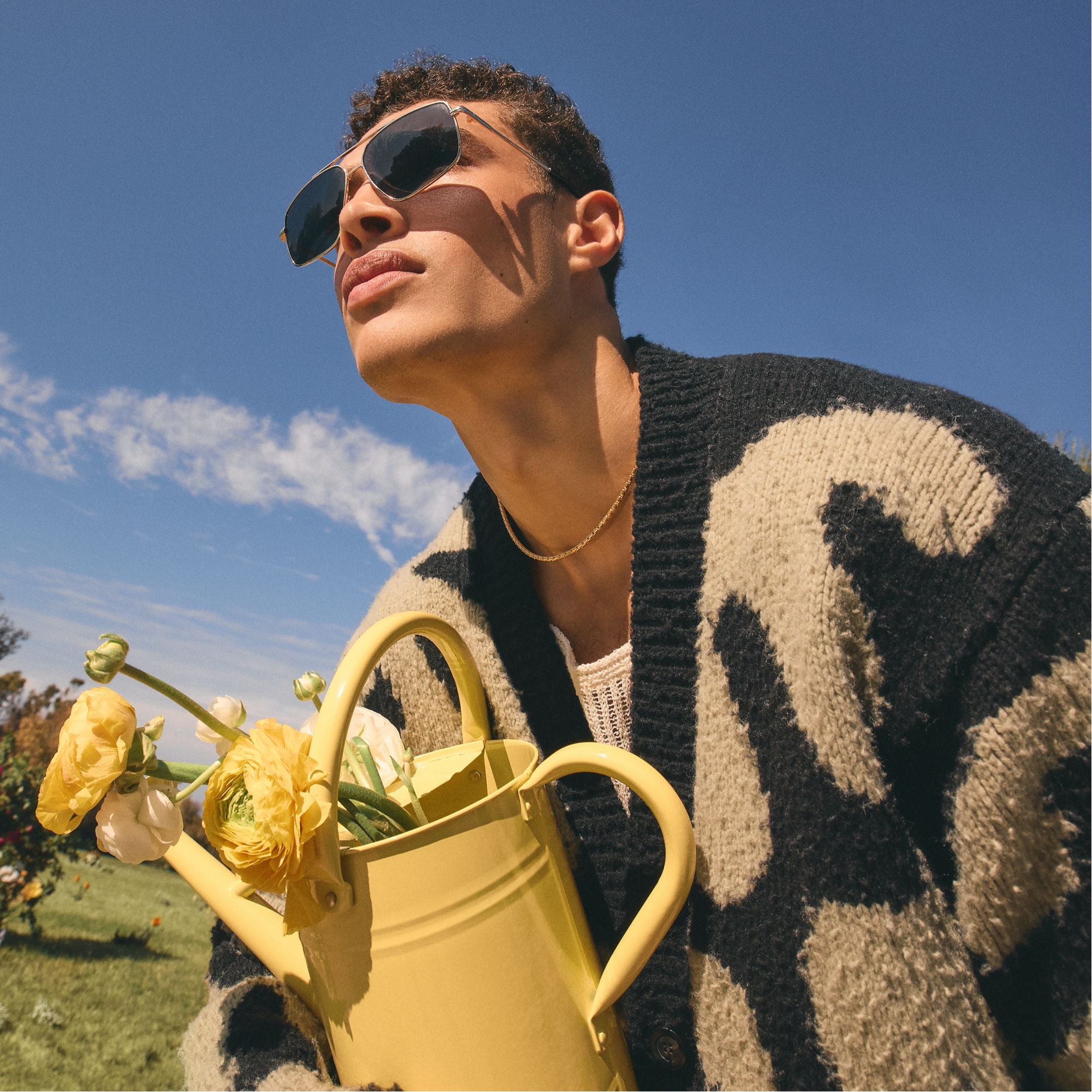 Frelinnorx Silver Men's Aviator - Sunglasses